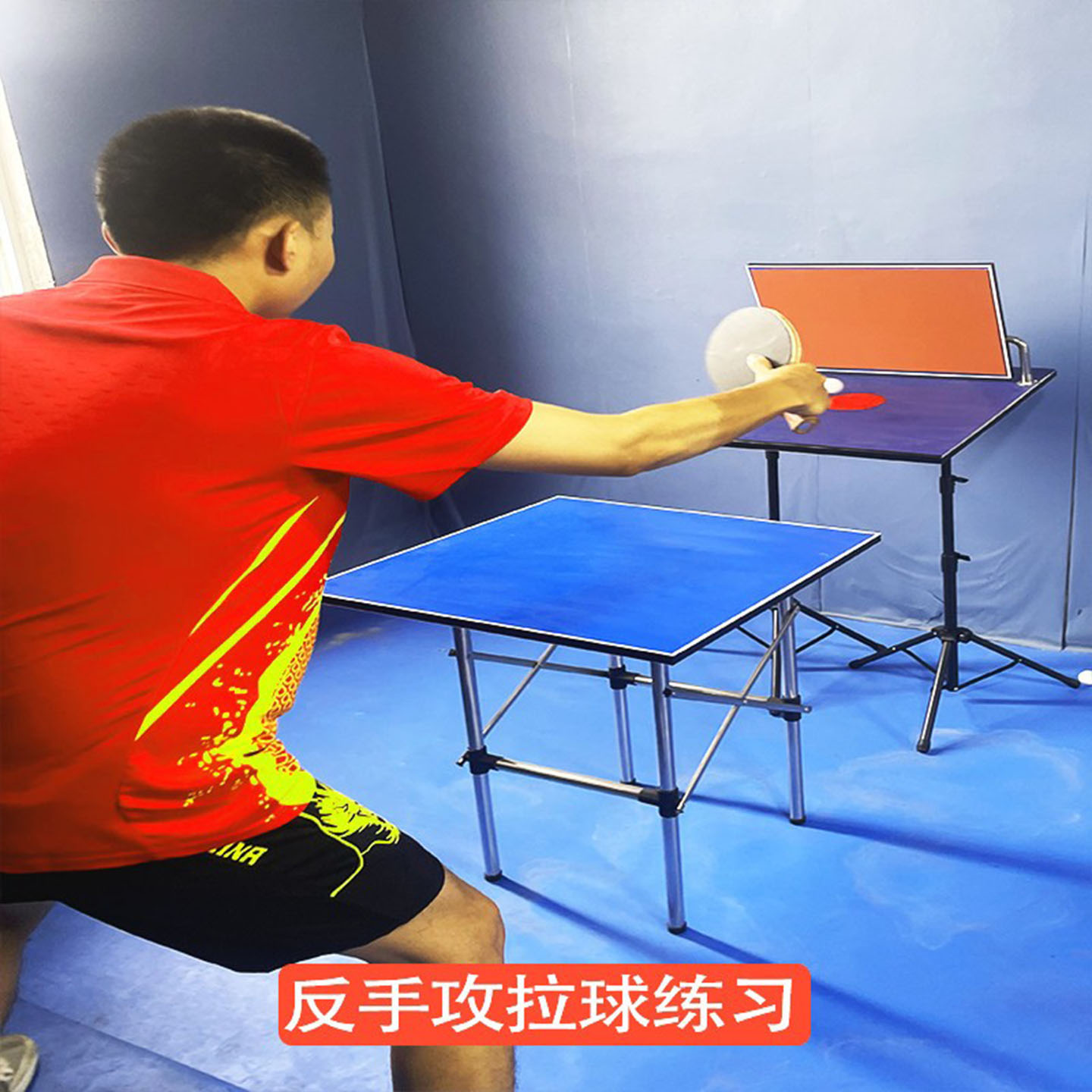 Table tennis trainer rebound b - Table Tennis Single 评论和价格